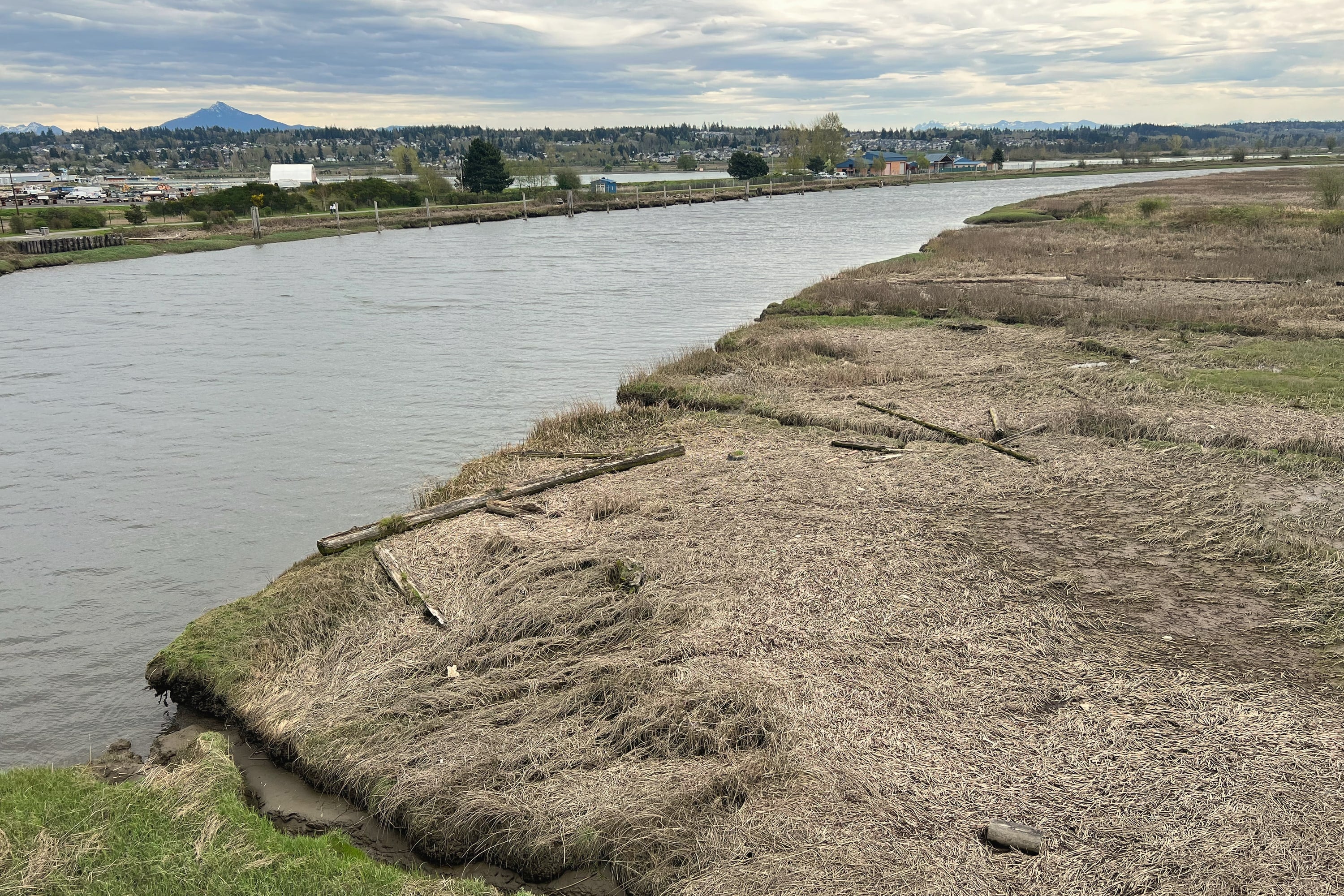 Ebey Slough winding past marsh grass toward Marysville, with the Cascades on the horizon